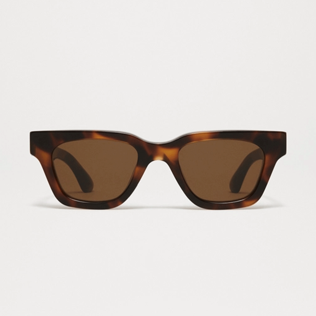 CHIMI | 11 | Tortoise