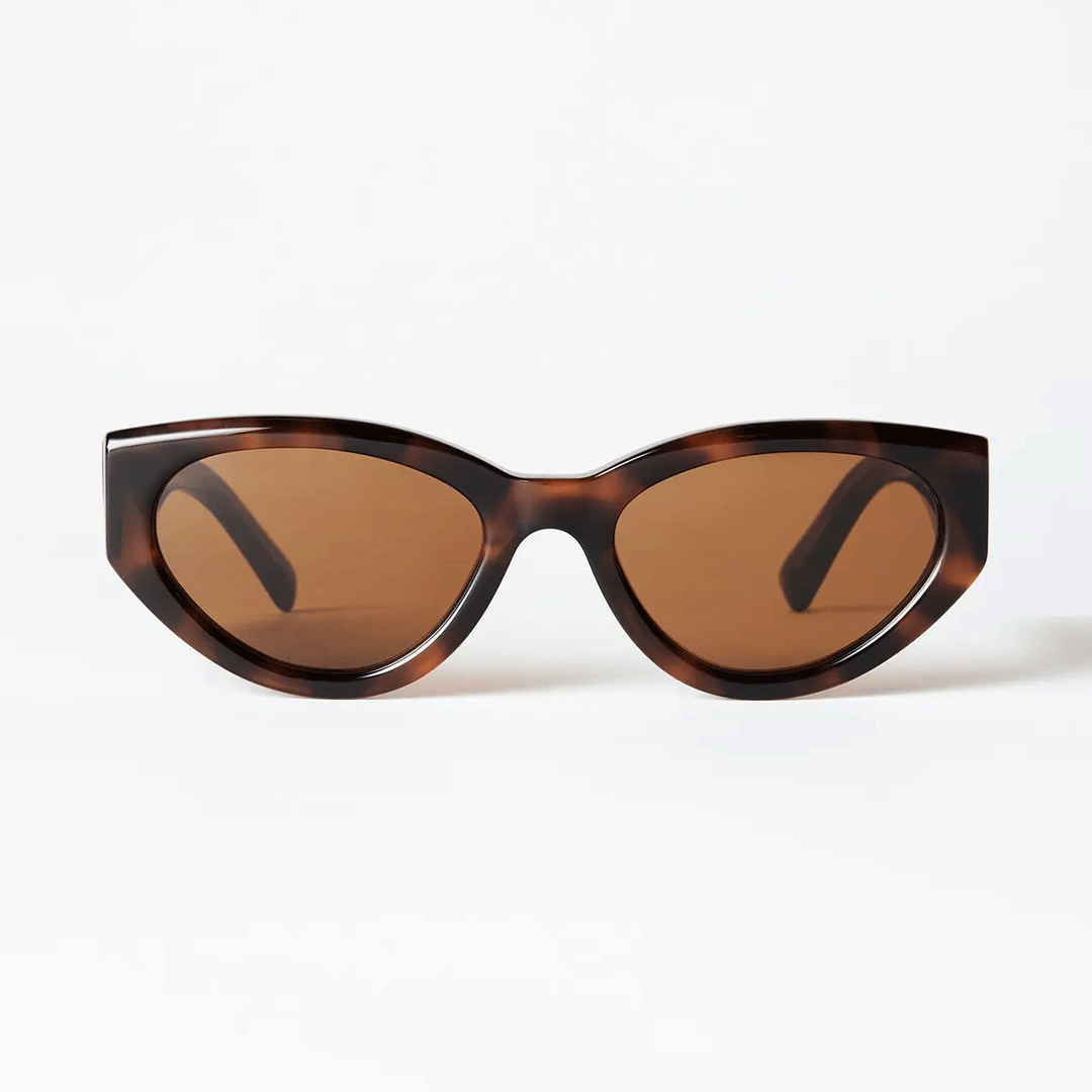 CHIMI | 06 | Tortoise