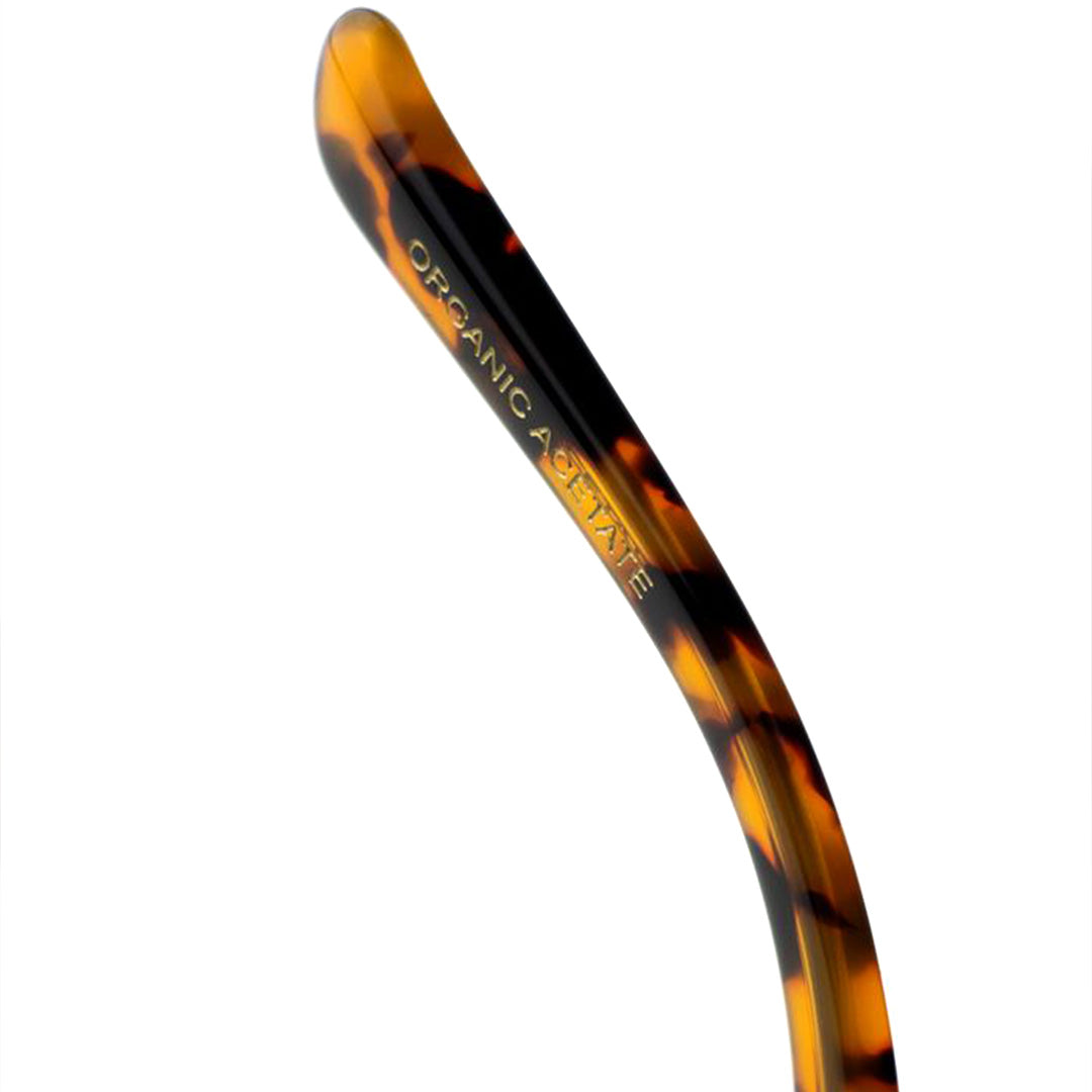 Monokel | Apollo | Havana