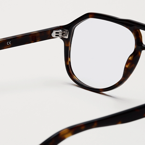 CHIMI | Sally | Tortoise