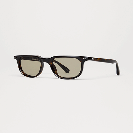 CHIMI | Novis | Tortoise